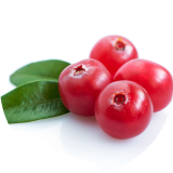 Four red berries lie on two green leaves.