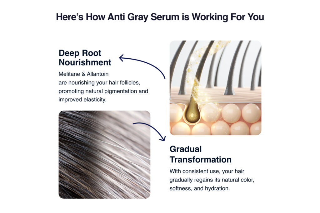 Anti Gray Serum Diagram