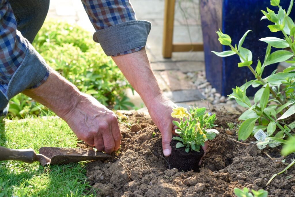 mature gardening